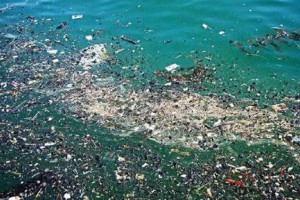 7.9万吨塑料漂浮于太平洋“第八大陆”垃圾带