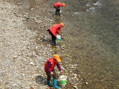 迎接世界水日：这才是节水护河该有的操作！