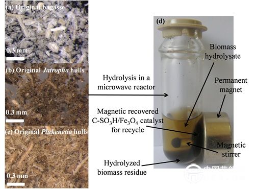 微波辅助碳基磁性固体酸水解热带植物废弃物