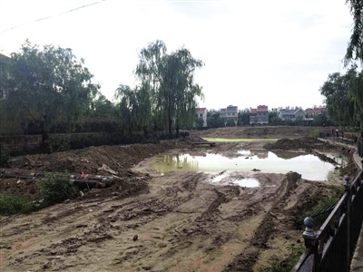 都市芳园内的湖泊湿地，在遭建筑垃圾填埋后，积水形成小水塘。新京报记者 王巍 摄